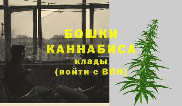 ECSTASY Лысьва