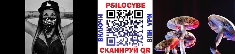 магазин продажи наркотиков  Екатеринбург  Псилоцибиновые грибы GOLDEN TEACHER 